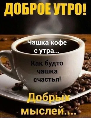 Good Coffee kg - Доброе новогоднее кофейное утро! ☕️🎄☀️ Кто-то продолжает  отдыхать, а мы уже все на местах и ждем Вас, ведь мы не виделись целый  год!😜☕️🎄 | Facebook