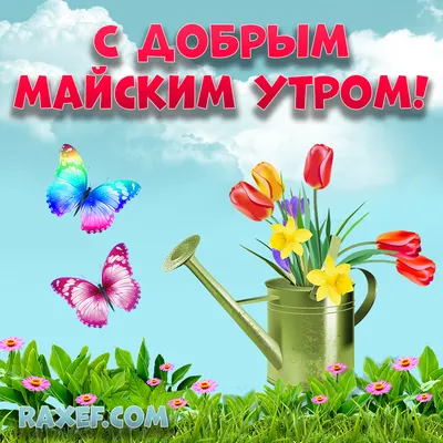 Открытки с добрым майским утром! Доброе майское утро! Доброе весеннее утро...  | Страница 2 | Открытки, Доброе утро, Цитаты о счастье