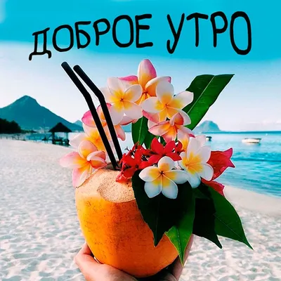 Утро радость. | Bau, Beach, Outdoor