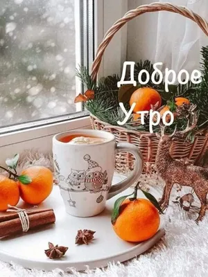 доброе ноябрьское утро пятницы｜Поиск в TikTok