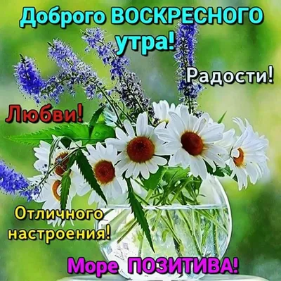 Доброе утро,солнце!\" - Нина Христианова - ДОБРОЕ УТРО,СОЛНЦЕ!🌞 Раннее утро,как  предчувствие,как предощущение чего-то важного,большого,светлого.В природе  всё ещё так неясно и зыбко.Это подчёркивает - Другое, Проза - Литра.Онлайн  - Литературный журнал и ...