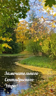 Пусть оно просто будет... Лишь тебе принадлежащее пространство, в котором  можно укрыться от потрясений, переждать дожди.. | ВКонтакте