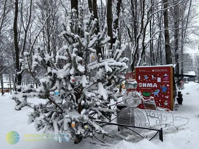 Доброе снежное утро!❄️ | Instagram