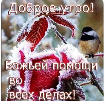 Модный стиль от UNICO - Доброе снежное утро😘 | Facebook