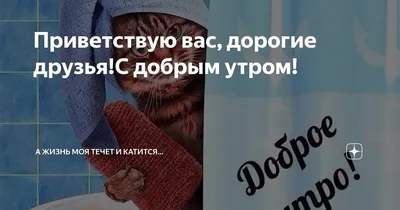 Доброе утро: веселые и красивые картинки с пожеланием хорошего утра |  Joy-Pup - всё самое интересное! | Дзен