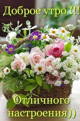 Pin by Лёля Galustyan on Пожелания с добрым утром | Basket flower  arrangements, Beautiful flower arrangements, Flower decorations