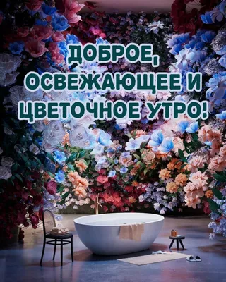 Цветочное бюро - Доброе утро🕊 Так легко порадовать наших родных и  близких💚 Недавно такая история со мной была - парень один спрашивает -  «Женя, а какие цветы тебе подарить, чтобы понравились? Я