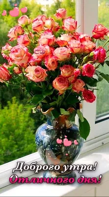 Доброе 🏵🍃💐🌿🏵 Утро любимым! | Flower tray, Flower gift, Rosé gifs