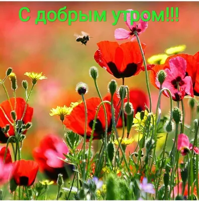 Ok flowers - Доброе цветочное утро! Сегодня понедельник! А значит -20% на  все готовые букеты и композиции! . Ждём вас, а также, принимаем заказы ко  Дню Святого Валентина! . ———•———•——— Чтобы заказать: +