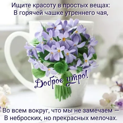 Доброе утро! 💗🌷🌱 Волшебное цветочное…» — создано в Шедевруме