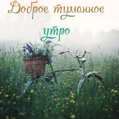 Доброе туманное утро | Туман