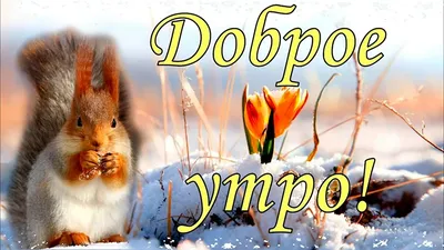 Блокнот Воронеж - Доброе утро! Погода на 1 марта ⠀ утро –... | Facebook