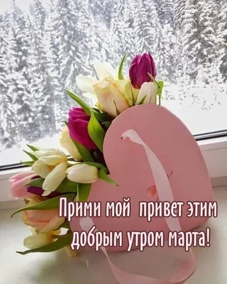 1 марта с добрым утром первым днем весны｜TikTok Search