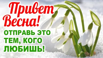 Пин от пользователя Елена Чеботарёва на доске Доброе утро | Доброе утро,  Букеты фотографии, Открытки