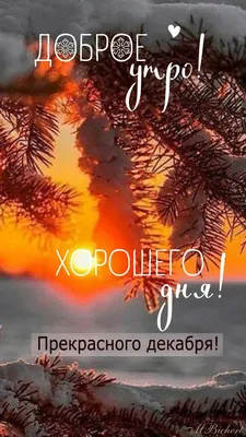 Самое доброе утро 31 декабря 🎅🏽🎄 | Instagram