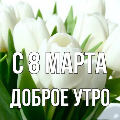 Доброе утро 8 марта картинки