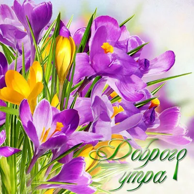 Картинка: Весны, улыбок и цветов! С 8 марта!
