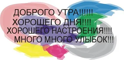 Доброе утро Вам желает наш водитель Александр Алисеенко @aliseenkovpa2019 .  А вы ездили с ним? Давайте вспомним номер его машины 🚗 . Ждем… | Instagram