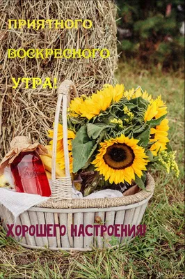 Мудрость жизни - Тихой грустью август радует...... | Facebook