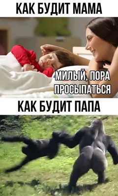 Друзья, доброе утро! ❤ — Фото | OK.RU | ОТКРЫТКИ | Постила