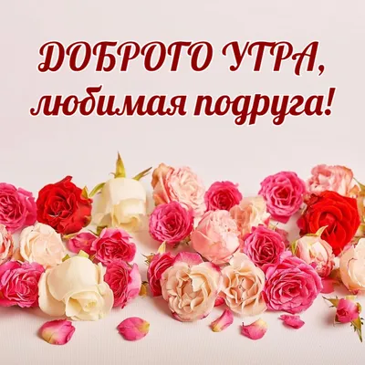 Подруга Дорогая! С Добрым Утром!😘💌🌹🌹🌹 Красивое видео пожелание с добрым  утром подруге!💌 - YouTube