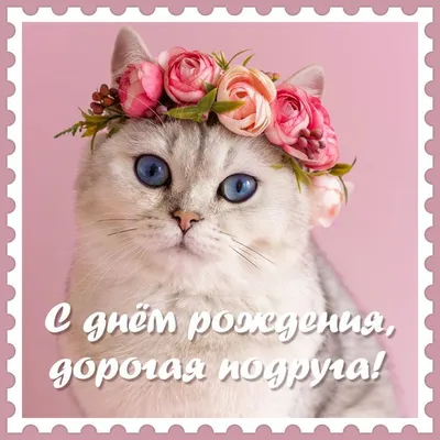 🎶💗МОЯ ДОРОГАЯ ПОДРУГА! СПАСИБО за то, что ты есть! 🎶💗Красивое  поздравление для ПОДРУГИ - YouTube