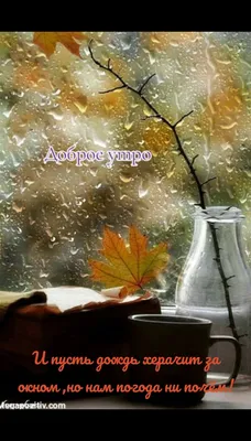 SafariTour Горячий Ключ - Дождь не может идти вечно. Доброе утро, друзья  #cinziabolognesi | Facebook