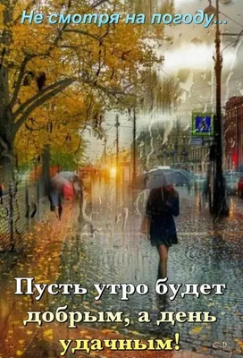 Картинка доброе утро осень и дождь | Доброе утро, Осень, Смешные открытки