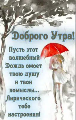 Доброе утро, друзья!. Сегодня на улице небольшой дождь, не забудьте зонт -  Лента новостей Запорожья