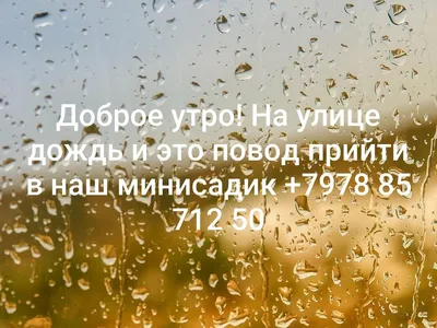 Доброе утро, Луганск!. На протяжении всего дня небо в Луганске и Луганской  Народной Республике будет покрыто облаками. На протяжении всего дня  ожидается дождь, который после обеда может усилиться - Лента новостей  Луганска