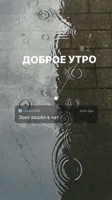 доброе утро картинки дождя｜Búsqueda de TikTok