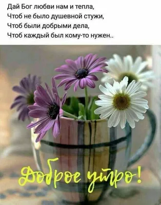 веточки | Доброе утро, Саркастичные цитаты, Цитаты о счастье