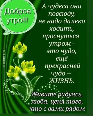 Картинки доброе утро с пожеланиями здоровья и счастья цветами (58 фото) »  Картинки и статусы про окружающий мир вокруг