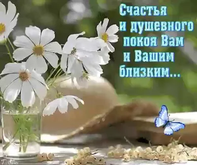 Картинки \"С Добрым Утром!\" для мужчины (256 шт.)