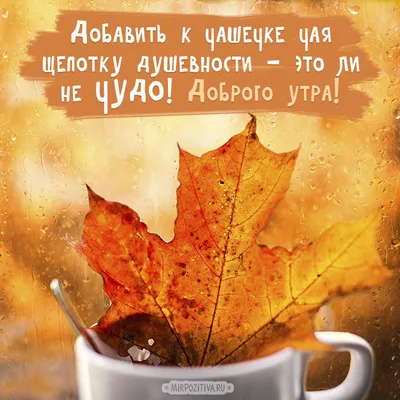 Зимние картинки Доброе утро (70 штук)