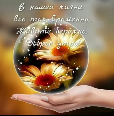 Картинки \"С Добрым Утром!\" и \"Хорошего Настроения!\" (300+)