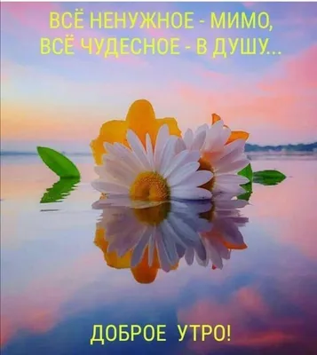 Доброе утро от души - 77 фото