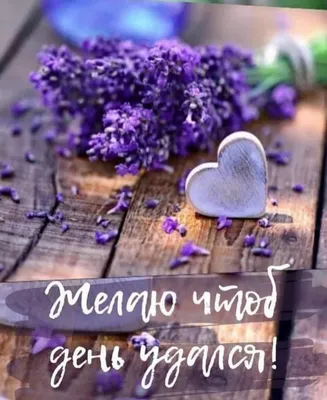Доброе утро мужчине своими словами и стихами: душевные и оригинальные  варианты