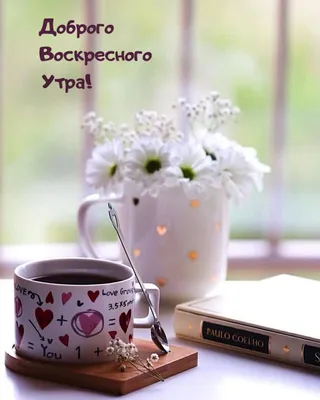 с добрым утром от ткрытки｜Поиск в TikTok
