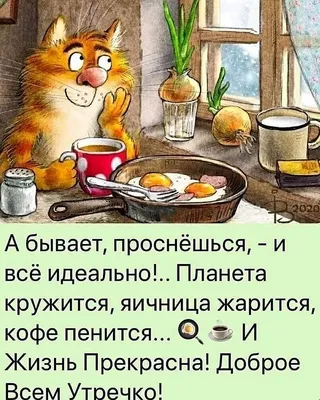 Доброе утро прикольные картинки. 90 новых картинок с добрым утром. | Доброе  утро, Веселые картинки, Самые смешные картинки