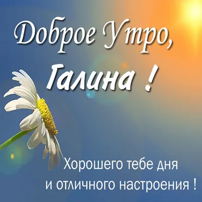 Идеи на тему «Доброе утро!» (240) | доброе утро, открытки, счастливые  картинки