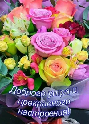 Мудрая бабулечка added a new photo. - Мудрая бабулечка