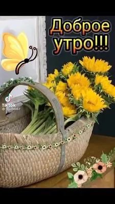 доброе утро галина красивое видео｜TikTok Search