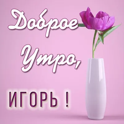 Открытка с именем Игорь Доброе утро картинки. Открытки на каждый день с  именами и пожеланиями.