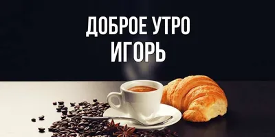 Игорь Губерман поделился(-ась) публикацией в Instagram : “#love #cute  #follow #happy #я #селфи #природа … | Саркастичные цитаты, Важные цитаты,  Смешные высказывания