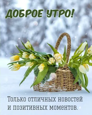 Доброе утро друзья гифки красивые: 7 тыс изображений найдено в  Яндекс.Картинках | Tableware, Quick, Glassware