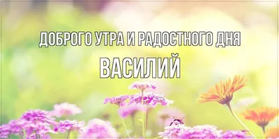 Доброе утро ещё прекраснее с вашими отзывами🥰 Спасибо за обратную связь❤  🔝Процедура: карбоновый пилинг 💥Стоимость всего 1900р вместо… | Instagram