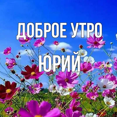 Доброе утро) | Открытки, Поздравительные открытки, Почтовые открытки