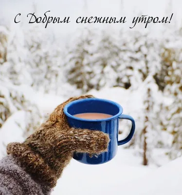Top_kherson - #TOP_KHERSON Доброе утро ☀️ Фото: @dimka_korzh 😊 #kherson  #херсон #зима #утро #кофе #доброеутро #идеидляфото | Facebook