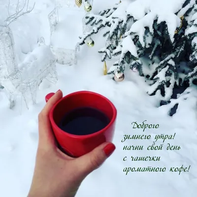 Хорошего дня зима кофе - фото и картинки: 75 штук